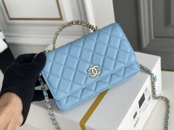Chanel Wallet On Chain