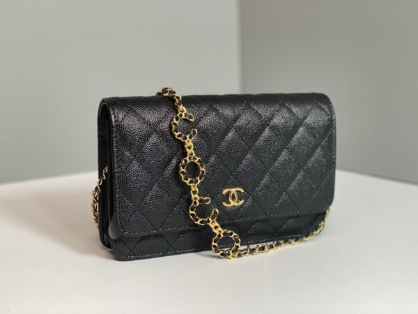Chanel Wallet On Chain
