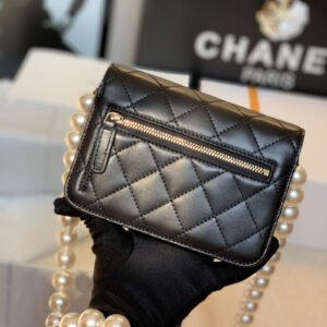 Chanel Wallet On Chain