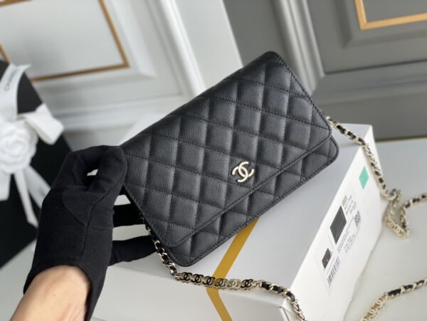 Chanel Wallet On Chain