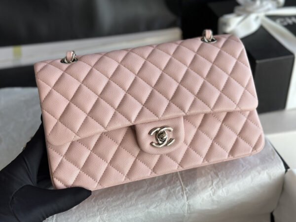 Chanel Classic Double Flap Silver Hardware