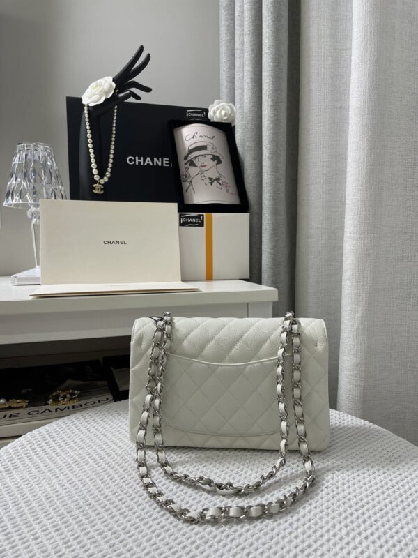 Chanel Small Classic Handbag Silver Hardware
