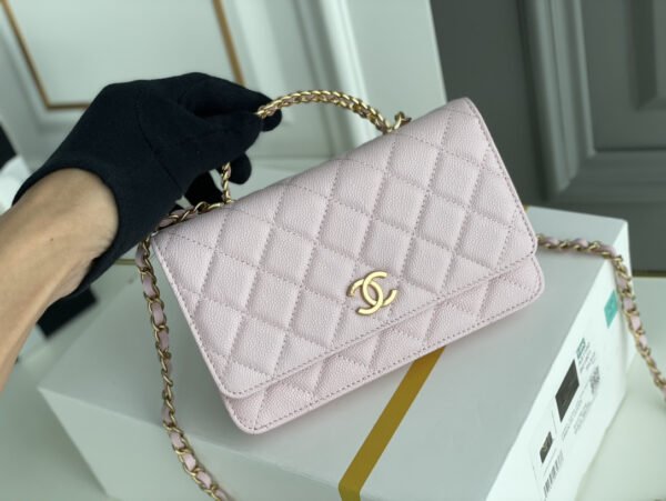 Chanel Wallet On Chain