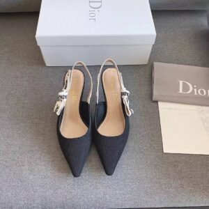 Dior Shoes